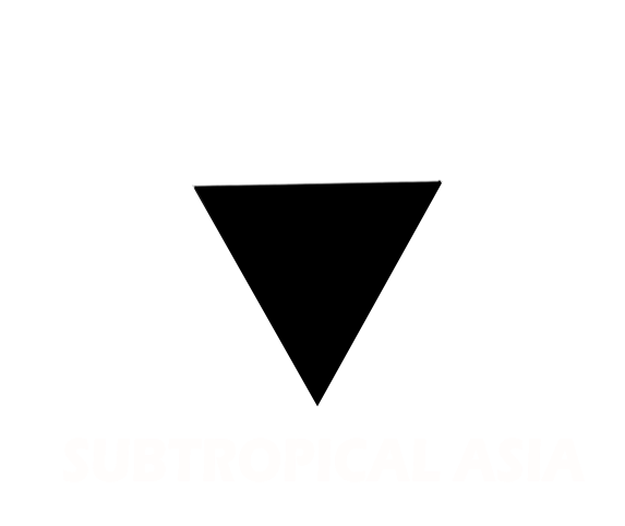 Subtropical Asia